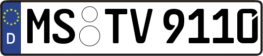 MS-TV9110