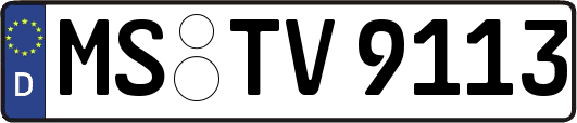 MS-TV9113