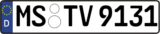 MS-TV9131