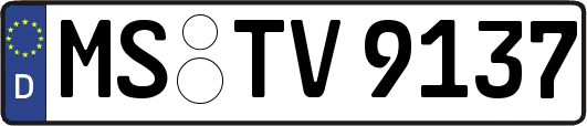 MS-TV9137