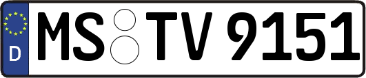 MS-TV9151