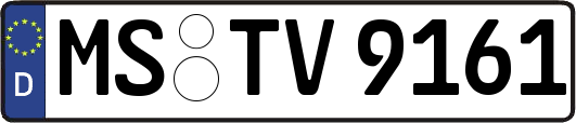 MS-TV9161