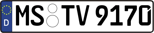 MS-TV9170