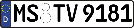 MS-TV9181