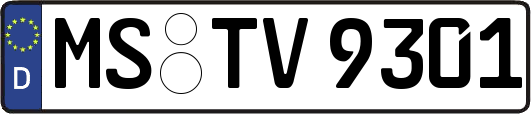 MS-TV9301