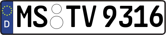 MS-TV9316