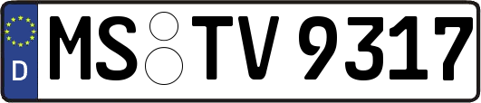 MS-TV9317