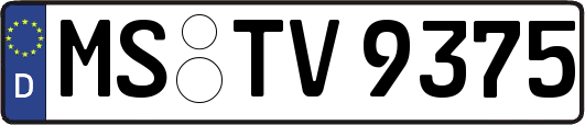MS-TV9375