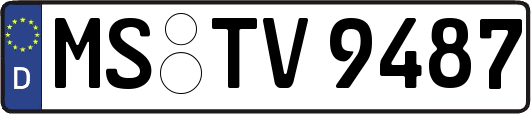 MS-TV9487