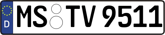 MS-TV9511