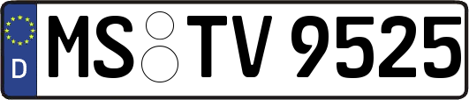MS-TV9525