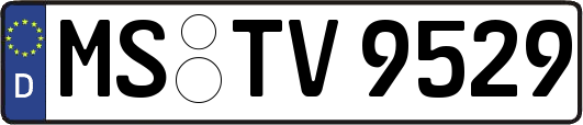 MS-TV9529