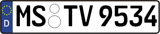 MS-TV9534