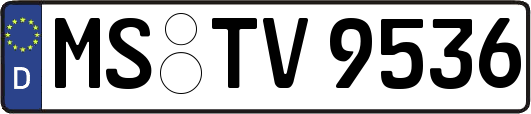 MS-TV9536