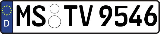 MS-TV9546