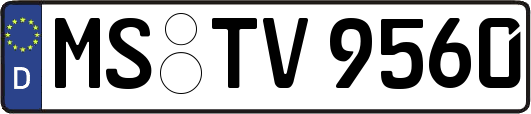 MS-TV9560