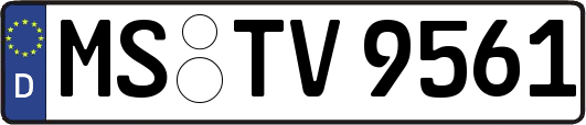 MS-TV9561