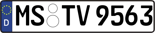 MS-TV9563