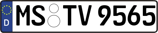 MS-TV9565