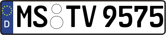 MS-TV9575