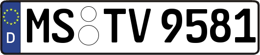MS-TV9581