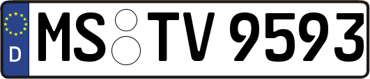 MS-TV9593