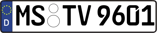 MS-TV9601