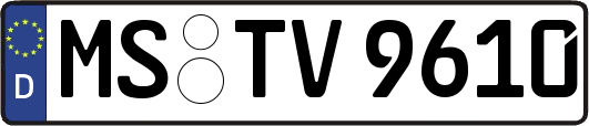 MS-TV9610