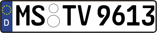 MS-TV9613