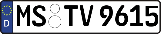 MS-TV9615