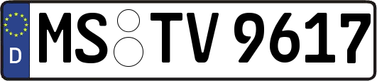 MS-TV9617