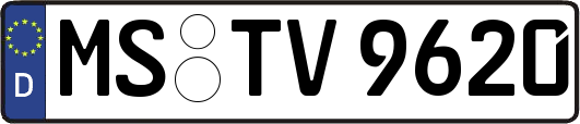 MS-TV9620