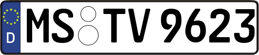 MS-TV9623