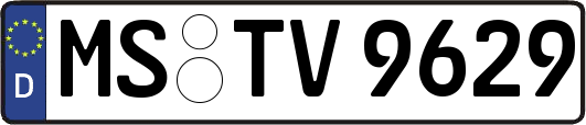 MS-TV9629