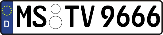MS-TV9666
