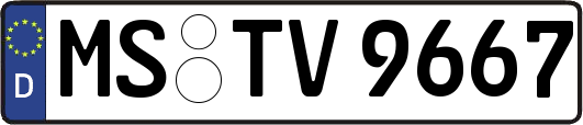 MS-TV9667
