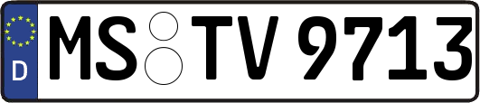 MS-TV9713