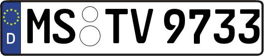 MS-TV9733