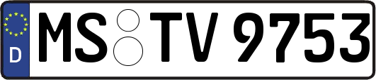 MS-TV9753