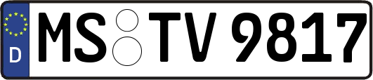 MS-TV9817
