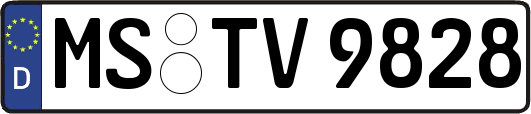 MS-TV9828