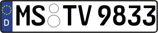 MS-TV9833