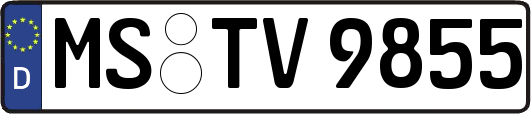 MS-TV9855