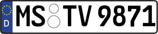 MS-TV9871