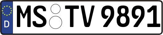 MS-TV9891