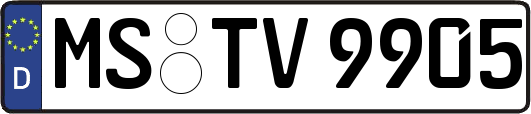 MS-TV9905