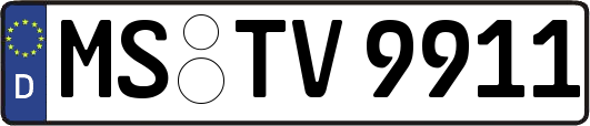 MS-TV9911