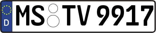 MS-TV9917