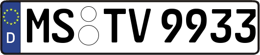 MS-TV9933