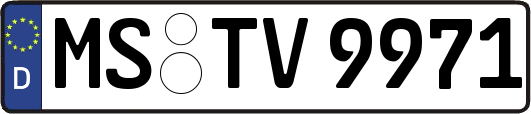 MS-TV9971